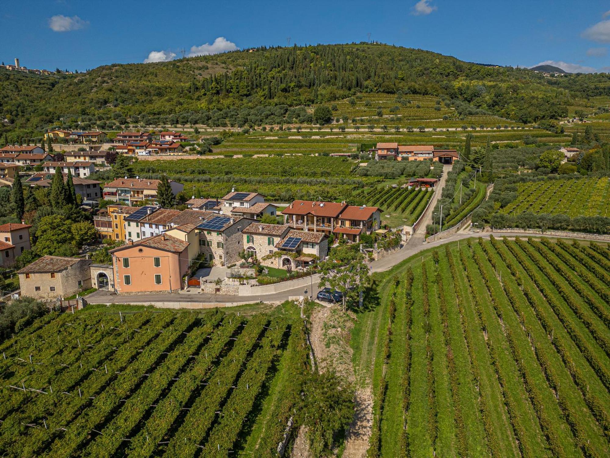 Corte Formigar SantʼAmbrogio di Valpolicella Екстериор снимка